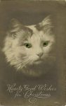 Hearty Good Wishes for Christmas Real Photo Post Card Glass-eyed cat postcard 3.5”x5.5” Not mailed 3327/4