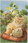 Cat Squeaker Postcard Carte Postale Rhodania Lyon Made in France 3.5”x5.5” Not Mailed