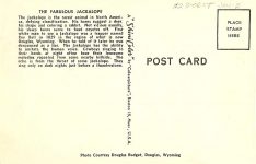 The Fabulous Jackalope (Back) ca. 1950s, SK5674, 5.5″x3.5″ Photo Courtesy Douglas Budget, Douglas Wyoming A “Shini Color” Colourpicture, Boston 15, Mass