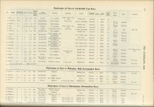 1909 11 3 CHALMERS-DETROIT, NATIONAL The Vanderbilt Cup Race and the Wheatley Hills and Massapequa Sweepstakes HORSELESS AGE page 490