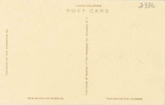 1910 ca. The Line up Auto Racing Ormond Beach Florida The Albertype NY racecar postcard back