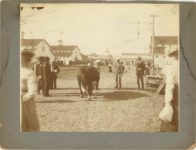 1903 ca. Minnesota State Fair Big cow outside 12″×9.25″ image 9.75″×7.75″