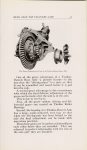 1912 TIMKEN PRIMER On the Anatomy of Automobile Axles 3rd edition Burton Historical Collection Detroit Public Library page 31