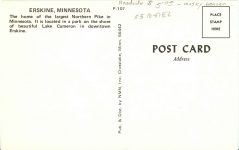 Largest Northern Pike in Minnesota Erskine, Minnesota postcard back