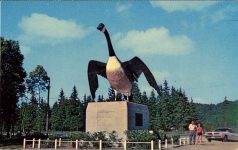 The Wild Goose Wawa, Ontario CANADA postcard front