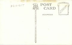1905 ca. Felling a huge Redwood Big Tree Grove Santa Cruz, Cal 2911 postcard back