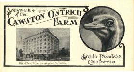 1910 ca. CAWSTON OSTRICH FARM Pasadena, Cal 6.25″×3.25″ brochure Front cover