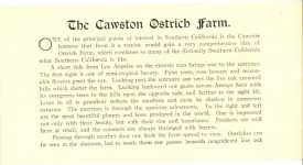 1910 ca. CAWSTON OSTRICH FARM Pasadena, Cal 6.25″×3.25″ brochure page 1