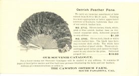 1910 ca. CAWSTON OSTRICH FARM Pasadena, Cal 6.25″×3.25″ brochure page 8