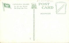 1930 ca. Flying Fish At Catalina Island Cal postcard back