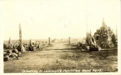 1940 ca. Lemmon’s Petrified Wood Park Driveway RPPC front