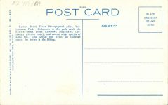 1910 ca. YE OLDE CURIOSITY SHOP Colman Dock Seattle postcard back