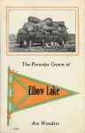 1914 5 25 Elbow Lake, MINN The Parsnips Grown at postcard front