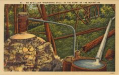 1940 ca. 80 GALLON MOONSHINE STILL postcard front