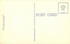 1940 ca. The Golden Shower Tree Florida postcard back