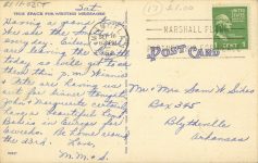 1950 9 16 Night Blooming Cereus Florida postcard back