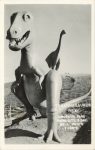 1950 ca. TYRANNASAURUS DINOSAUR PARK RAPID CITY, S DAK Bell Photo 1-108-6 RPPC front