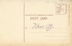 1910 ca. CAL Cawston Ostrich Farm The Captive postcard back