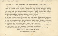 1915 ca. SEQUOIA REDWOOD RP ad back