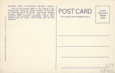 1940 ca. CAL Catalina Island FLYING FISH C 3 postcard back
