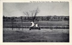 1949 ca. MASS, Winchendon Toy Horse at Toy Town Tavern left postcard front
