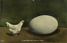 1910 2 24 EXAGGERATION MONTANA HEN and her EGG M 1908 postcard front