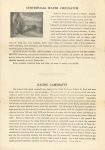 1924 ca. IND RACING EQUIPMENT SPEED! SPEED! SPEED! SPECIAL BULLETIN NO. 19 LAUREL MOTORS CORPORATION 8″×11.5″ page 2
