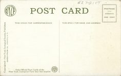 1910 ca Rocky Mountain Goat at NY Zoo postcard back