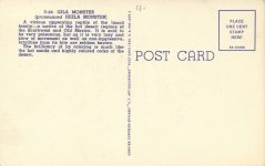 1940 ca. GILA MONSTER D-84 linen postcard back