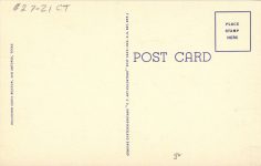1940 ca. Group of ARMADILLOS linen postcard back
