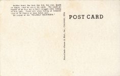 1950 ca. FUR HERRING RICE LAKE, WIS the FRIENDLY BUCKTHORN postcard back