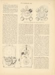 1908 7 29 The E-M-F 30 NEW VEHICLES AND PARTS article THE HORSELESS AGE 8.5″x10.75″ page 143