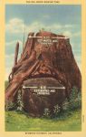 1940 7 31 REDWOOD HIGHWAY, CAL DEL NORTE WONDER TREE 5AH 779 postcard front