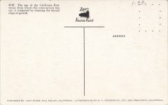 1960 ca. California Redwood cross section age K129 postcard back