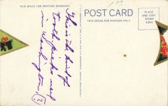 1935 ca. Washington Tooth Picks from a Washington Forest 4081 postcard back