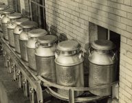 1934 ca. BORDEN Milk cans on a conveyer NY Brown Bros. 9.25″×7.25″ photo front