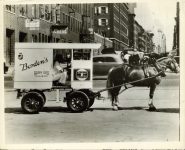 1934 ca. BORDEN Milk horse and cart NYC Brown Bros. 10″×8″ photo front