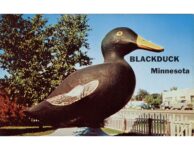 1960 ca. Blackduck, Minnesota Paul Bunyan’s Black Duck postcard front