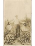 1908 Exaggeration THE BIG WASHINGTON STRAWBERRY By ML Bayes RPPC front