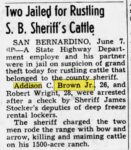 1949 6 7 Addison C. Brown Jr. b. 1921 Rusting Cattle Riverside Daily Press 6-7-49