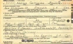 Addison Crittenden Brown, Jr. b. 1921 WW2 Draft Card