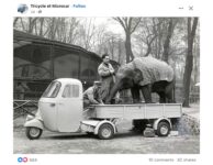 Tricycle microcar elephant FB