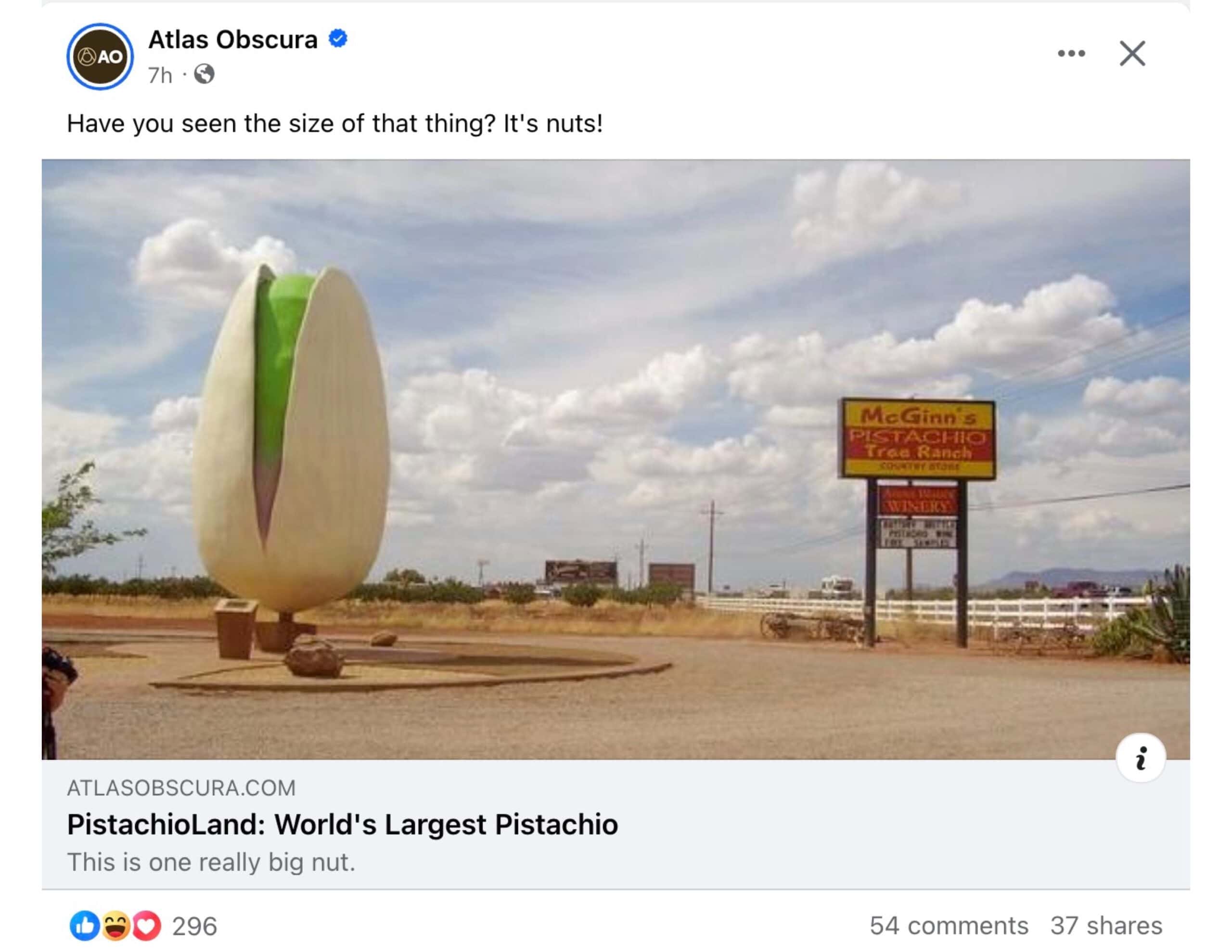 World's Largest Pistachio FB