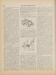 1912 1 18 Bergdoll Cars Power Range 30-40 Price Range $1,500-$3,000 article THE MOTOR WORLD page 420 AACA Library