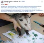 Opossum 121 FB