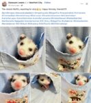 Opossums 34 Cute FB