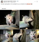 Opossum 158 FB