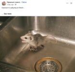 Opossum 160 FB