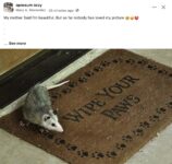 Opossum 164 FB