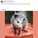 Opossum 166 FB